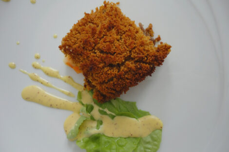 parmentier-canard-config